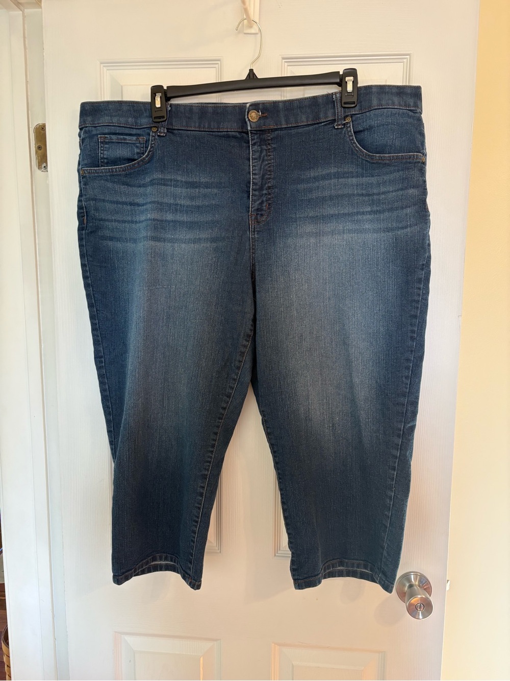 Terra & Sky Medium Wash Crop Jeans